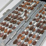 Formar emprendedores para transformar la cadena del cacao