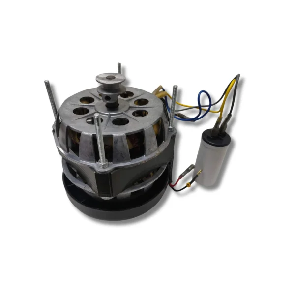 Motor eléctrico original con interruptor de seguridad de temperatura incorporado