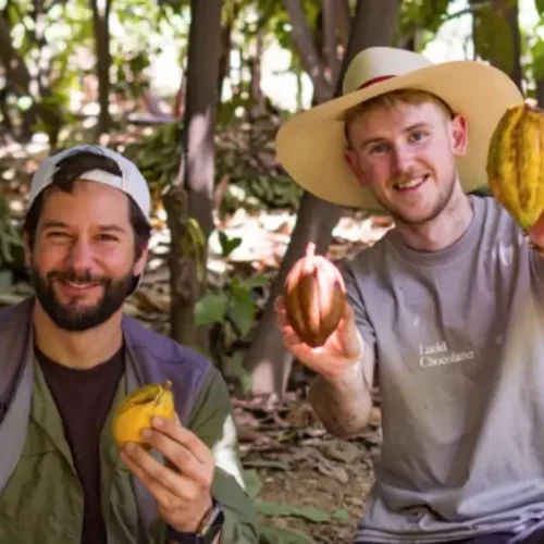 A015_09262126_S074-de-tamano-grande