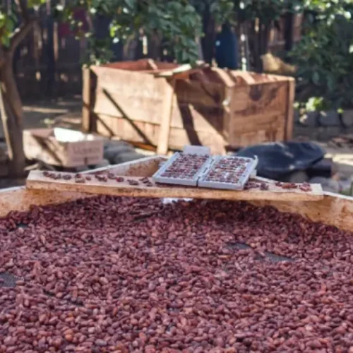 A017_09271848_S010-de-tamano-grande