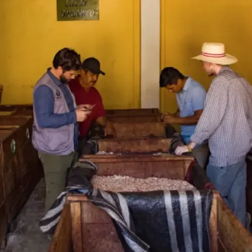 A017_09272100_S027-de-tamano-grande