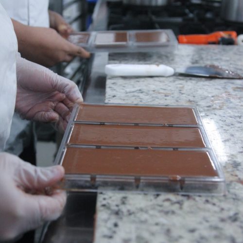 Formación especializada