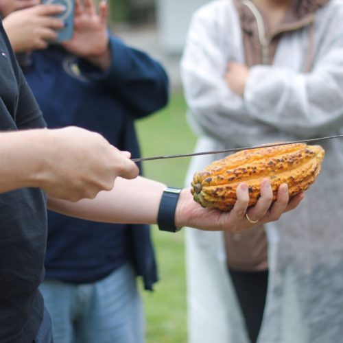 IMG_1253 de tamaño grande