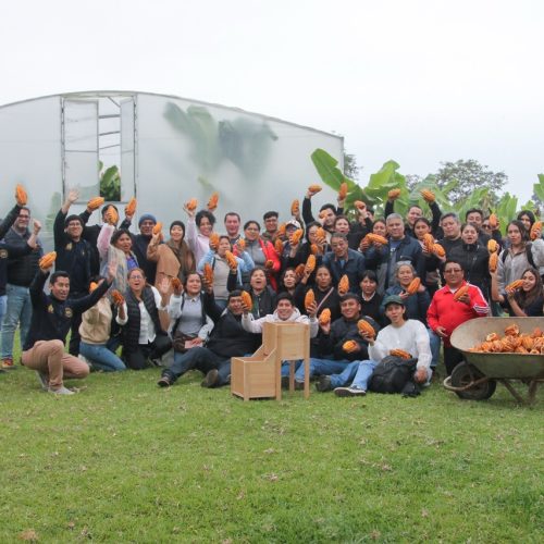 IMG_1760 de tamaño grande