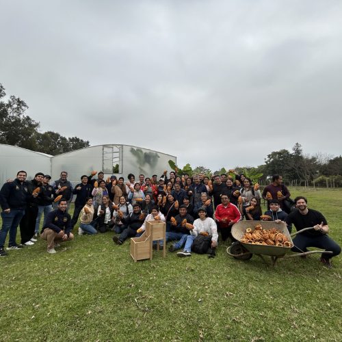 Planta de Producción